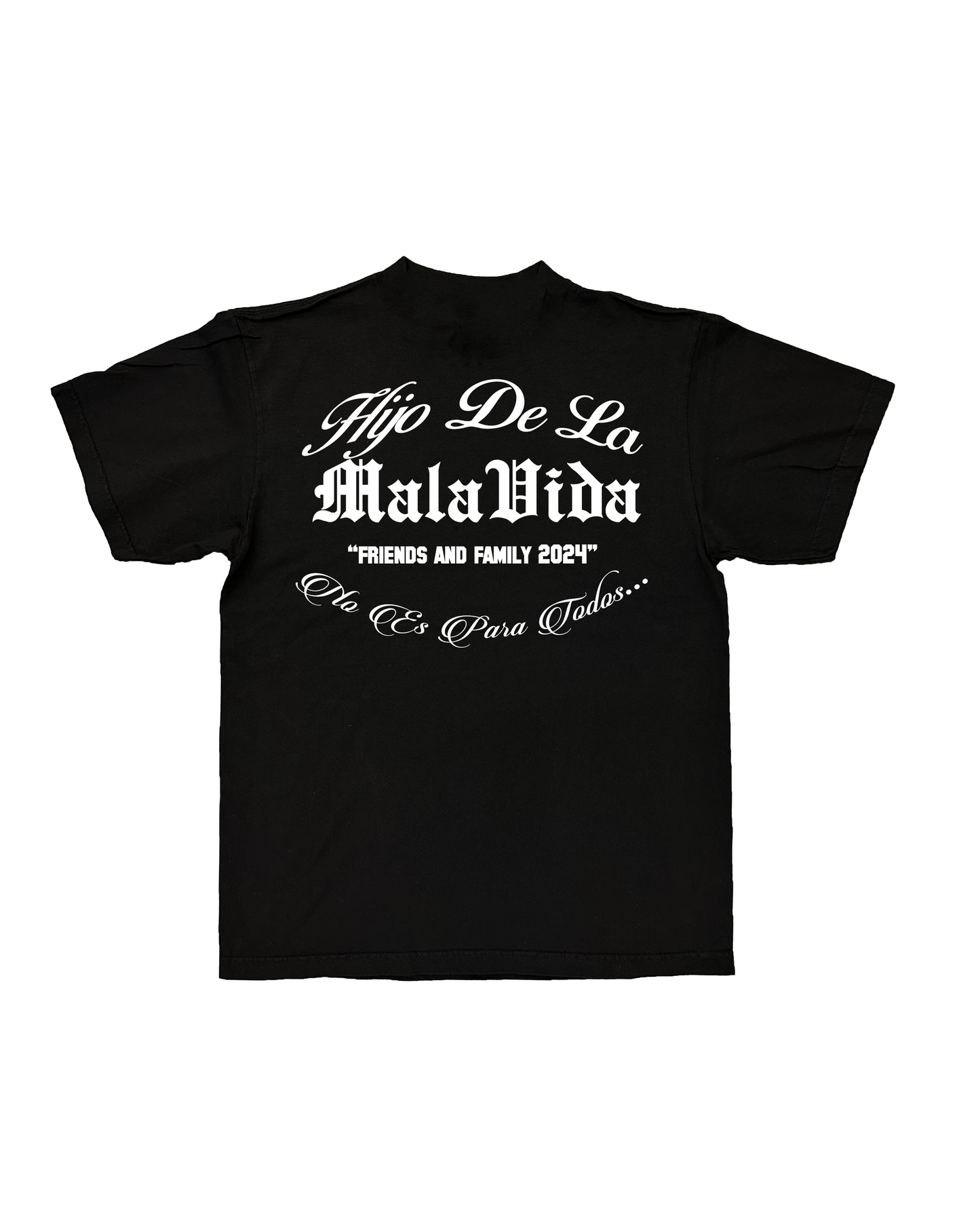 HDLMV Friend$ & Family T Shirt 2024