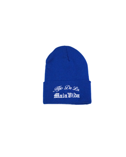 HDLMV SCRIPT LOGO BEANIES