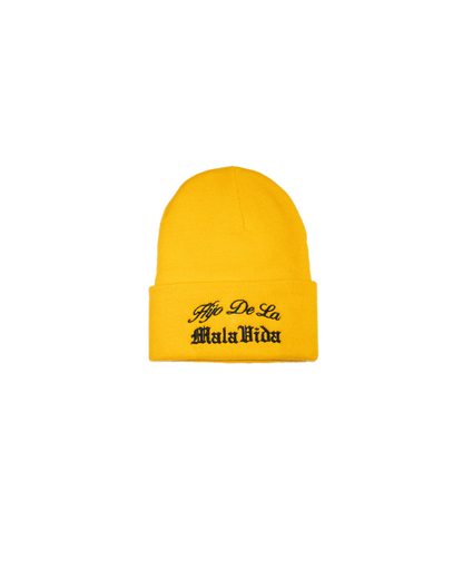 HDLMV SCRIPT LOGO BEANIES