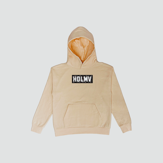 "HDLMV PAISLEY BOX LOGO HOODIE"       BEIGE